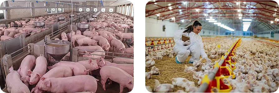 Espectro eletromagnético com destaque para Far-UVC (222 nm)